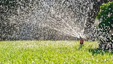 A lawn sprinkler sprays a wide arc of water over a green lawn.