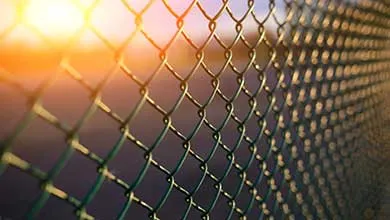 Close-up of a chain-link fence with sunlight flaring in the background.