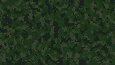 A green and black camouflage pattern.