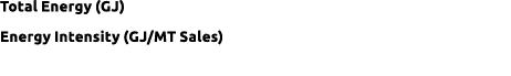 Total Energy (GJ) Energy Intensity (GJ/MT Sales)